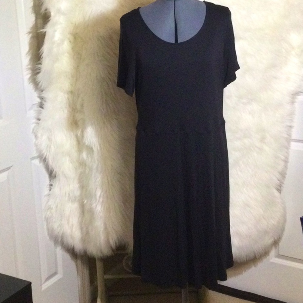 EVRI Dress with Pockets